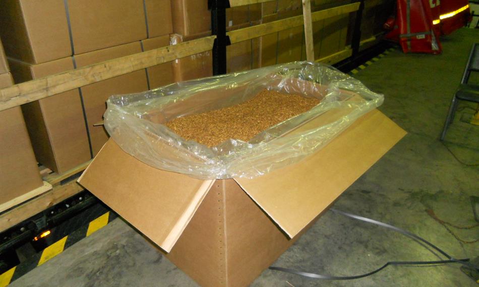 2013-1-16-1148Snímek 017.jpg